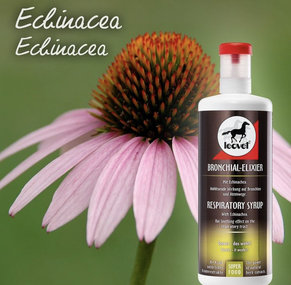 Luchtwegen & Weerstand 