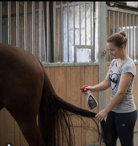 Huid, vacht en manen