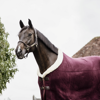 Kentucky Fleece heavy show deken Bordeaux