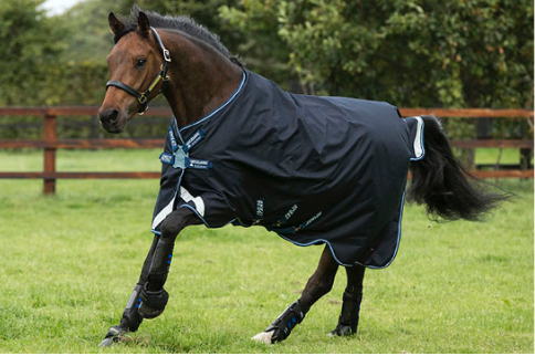 Horseware Amigo Bravo12T Olite DiscFrn Navy