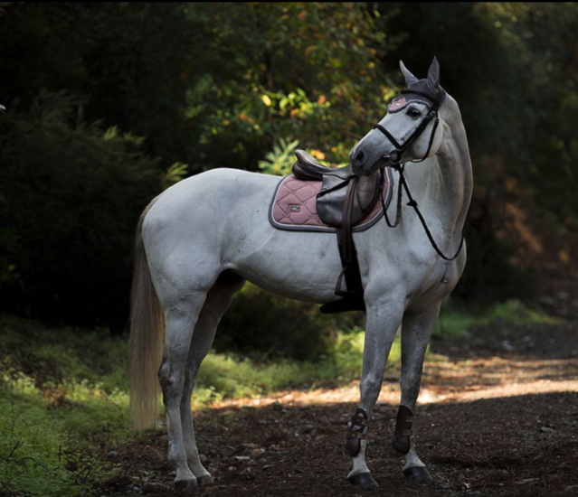 Equestrian Stockholm oornetje dusty pink