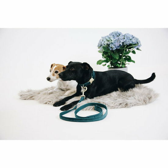 Kentucky hondenlijn Velvet smaragd 200 cm 