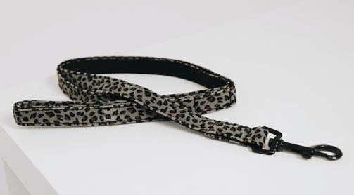 Kentucky hondenlijn leopard grijs  120 cm 