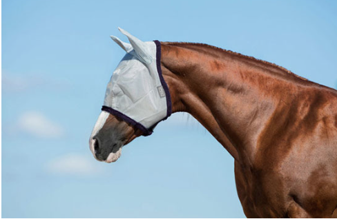 Amigo fly mask 