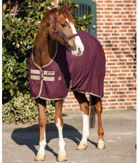 Horseware Amigo Stable Sheet Fig