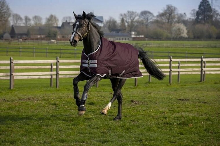 Horseware Amigo Hero Ripstop Lite 0g Fig