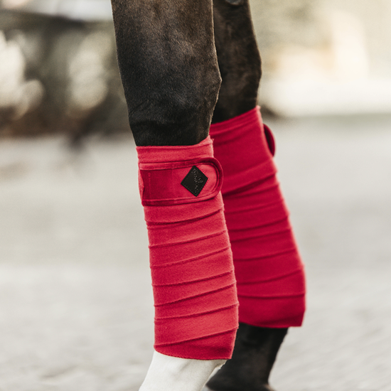 Kentucky bandages velvet rood