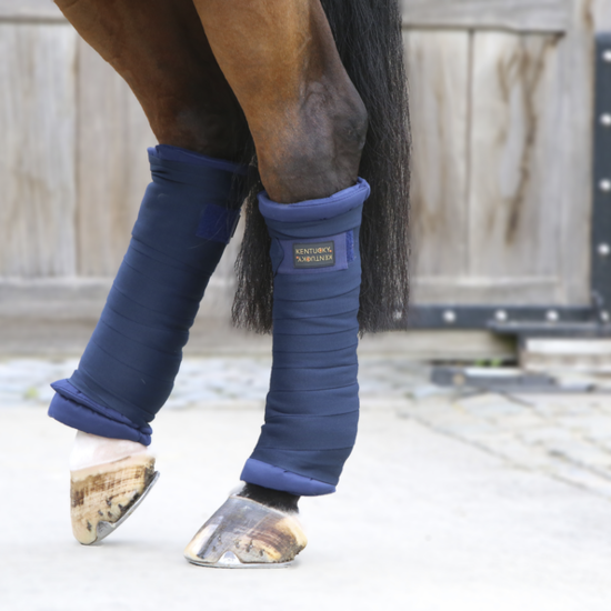 Kentucky onderbandages stal  Navy 