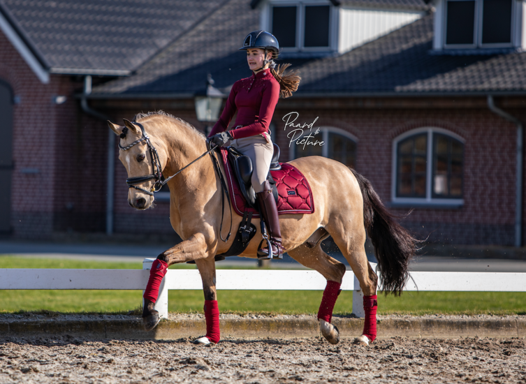  Equestrian Stockholm Bordeaux pad dressuur 