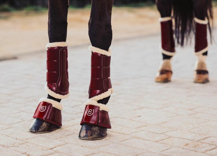  Equestrian Stockholm Beenbeschermers Bordeaux 