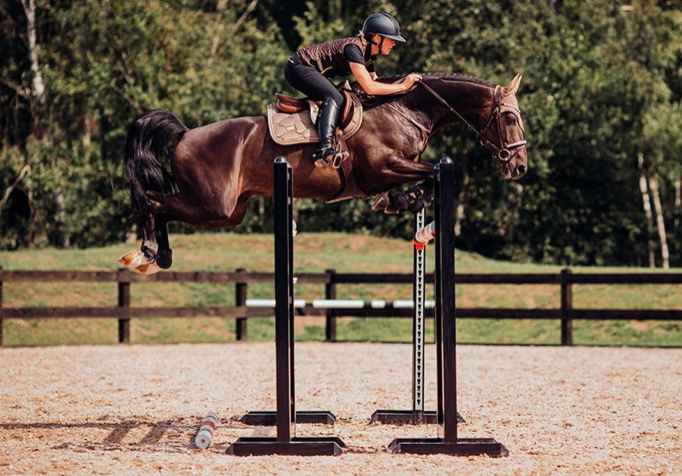 Equestrian Stockholm Champagne Jump