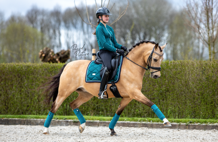 Equestrian Stockholm Emerald dressuur zadeldek 