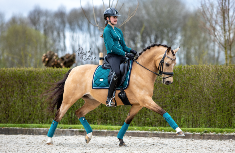 Equestrian Stockholm Emerald zadeldek