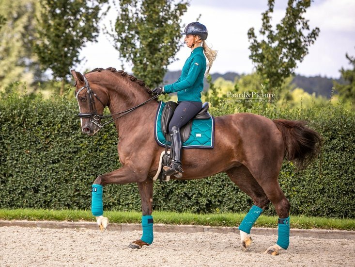 Equestrian Stockholm Emerald 