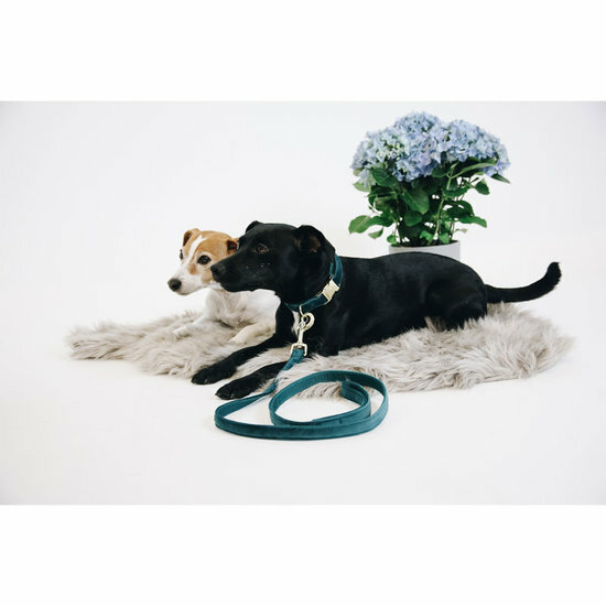 Kentucky honden halsband Velvet Smaragd