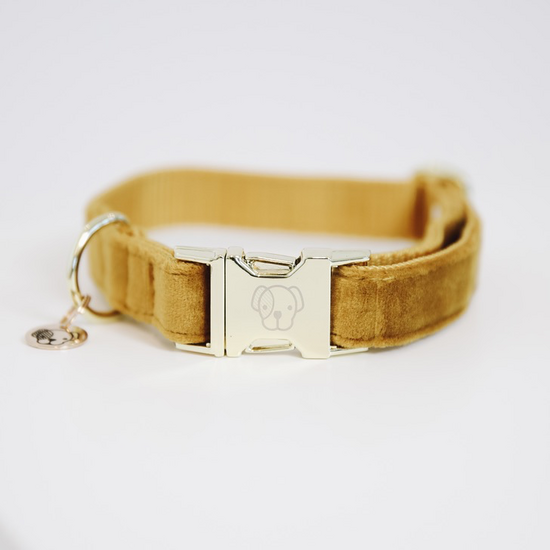 Kentucky honden halsband Velvet mustard 