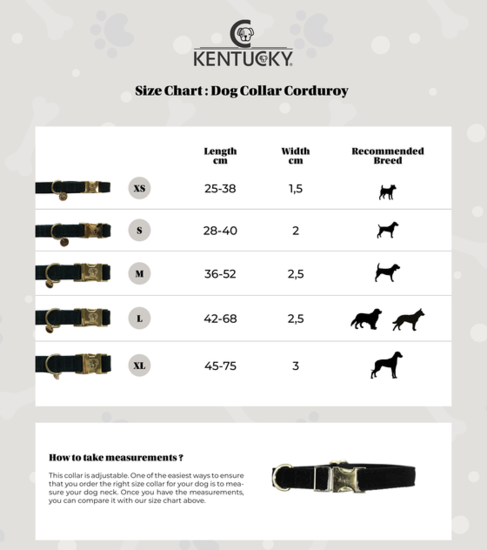 Kentucky honden halsband corduroy Bordeaux 