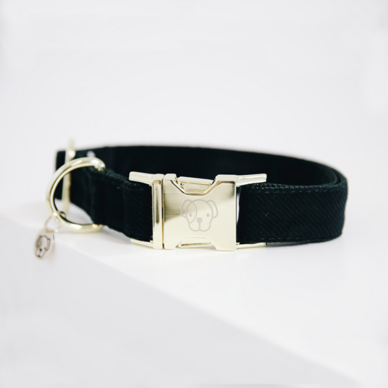 Kentucky honden halsband corduroy pine green 