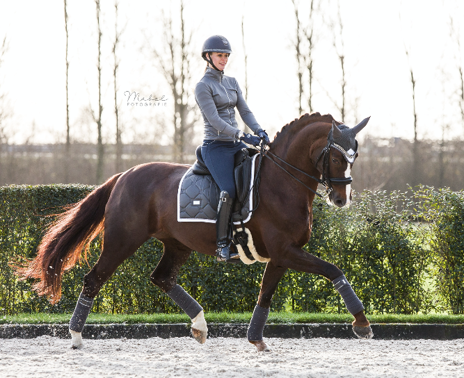 Equestrian Stockholm Cloud oornetje 