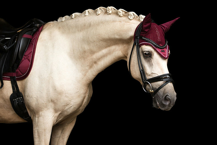 Equestrian Stockholm oornetje Bordeaux
