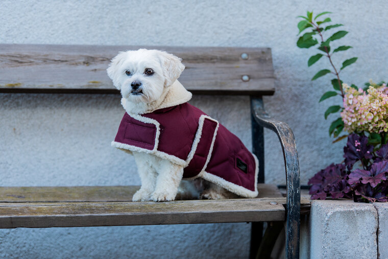 Equestrian Stockholm hondenjas Bordeaux mt L