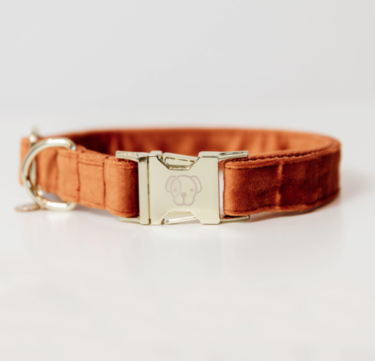 Kentucky hondenhalsband velvet oranje 