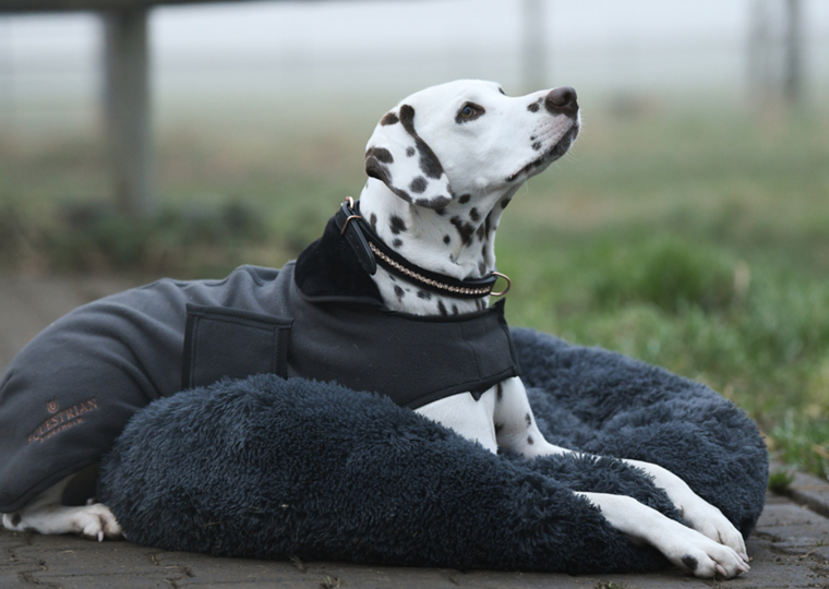 Equestrian Stockholm Donut hondenmand Dark Sky 