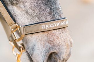 Equestrian Stockholm Halster met touw Chantelle Sportive 
