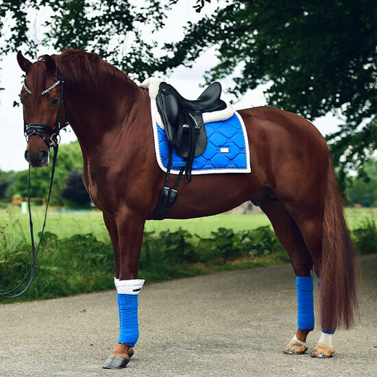 Equestrian Stockholm Sapphire Dressage