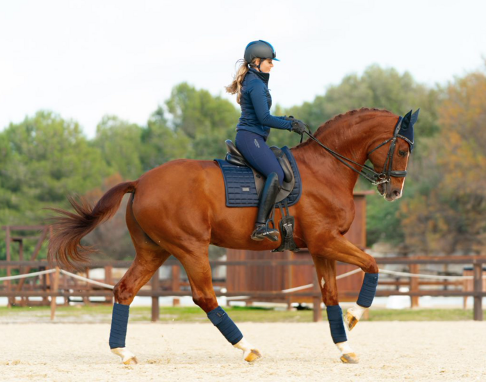 Equestrian Stockholm zadeldek dressuur Sportive Navy