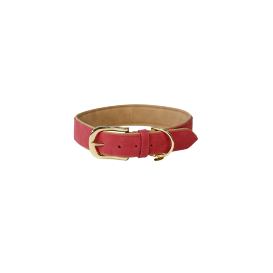 Kentucky honden halsband VEGAN leer rood 