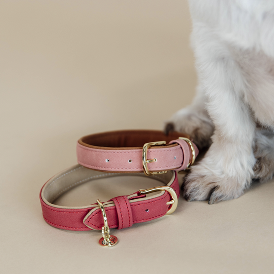 Kentucky honden halsband VEGAN leer rood 