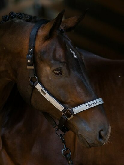  Equestrian Stockholm Halster met touw Luminous Black