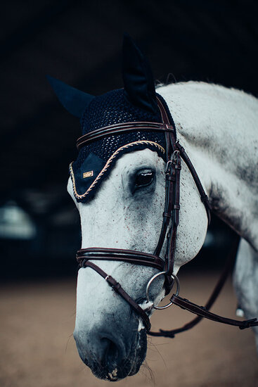 Equestrian Stockholm vliegenoortje Royal Classic PONY