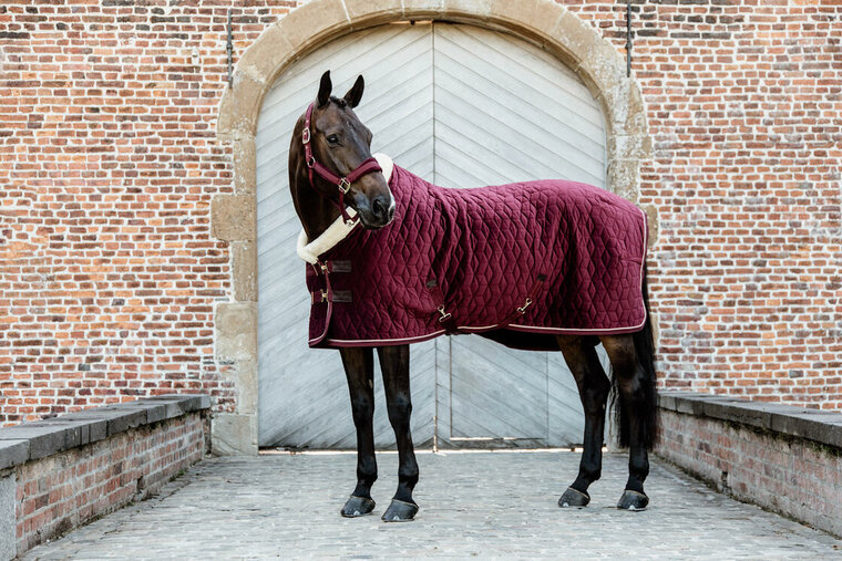 Kentucky Showdeken Velvet Bordeaux 