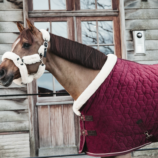 Kentucky Showdeken Velvet Bordeaux 