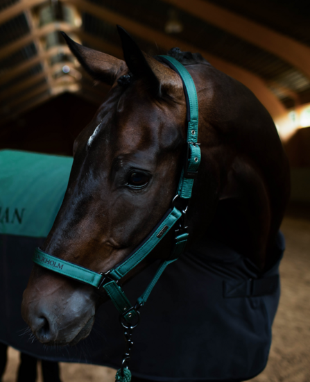  Equestrian Stockholm Halster met touw Sycamore Green PONY