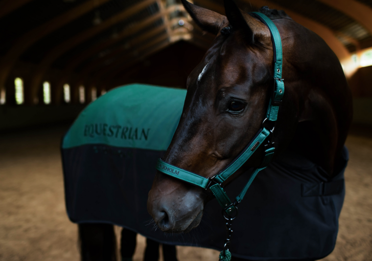Equestrian Stockholm deken Sycamore Green
