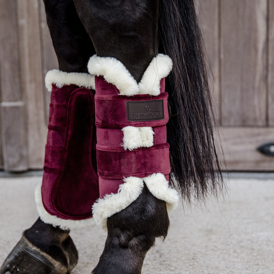 Kentucky allround beschermers velvet contrast Bordeaux