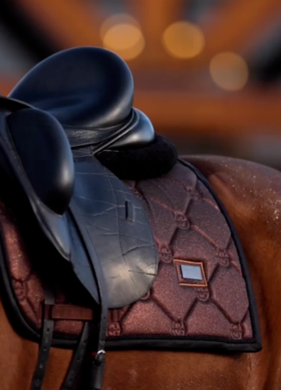 Equestrian Stockholm  Mahogany  Glimmer dressuur