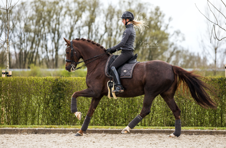 Equestrian Stockholm Dark Sky dressuur