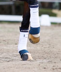 Equestrian Stockholm thermo onderbandages Blue Meadow
