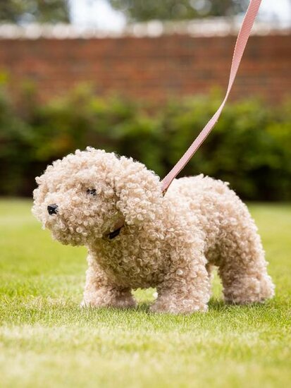 Le Mieux Toy Dog Cockapoo CHESTER