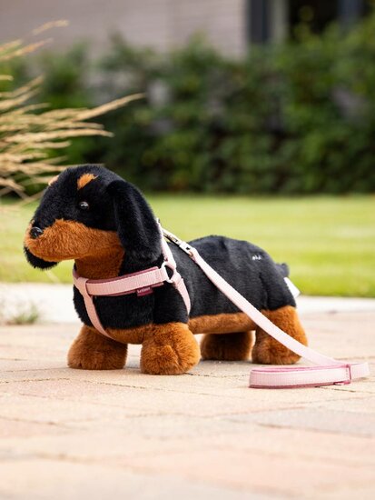 Le Mieux Mini Toy Dog Sally