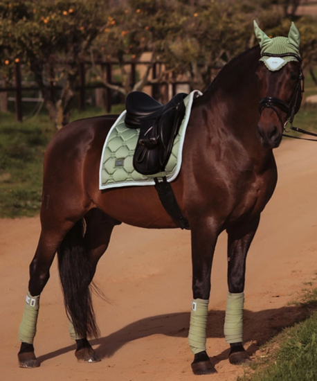 Equestrian Stockholm pistachio White  Jump pony