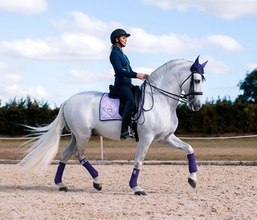 Equestrian Stockholm Lavender jump 