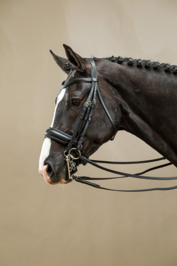 Dy&#039;on Stang &amp; Trens hoofdstel met brede Matte Crank neusriem Zwart