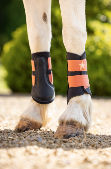 Le mieux grafter brushing boots Apricot - PONY