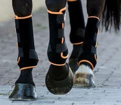 IndraHorse FANTASY zwart/oranje