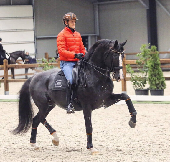 IndraHorse FANTASY zwart/oranje